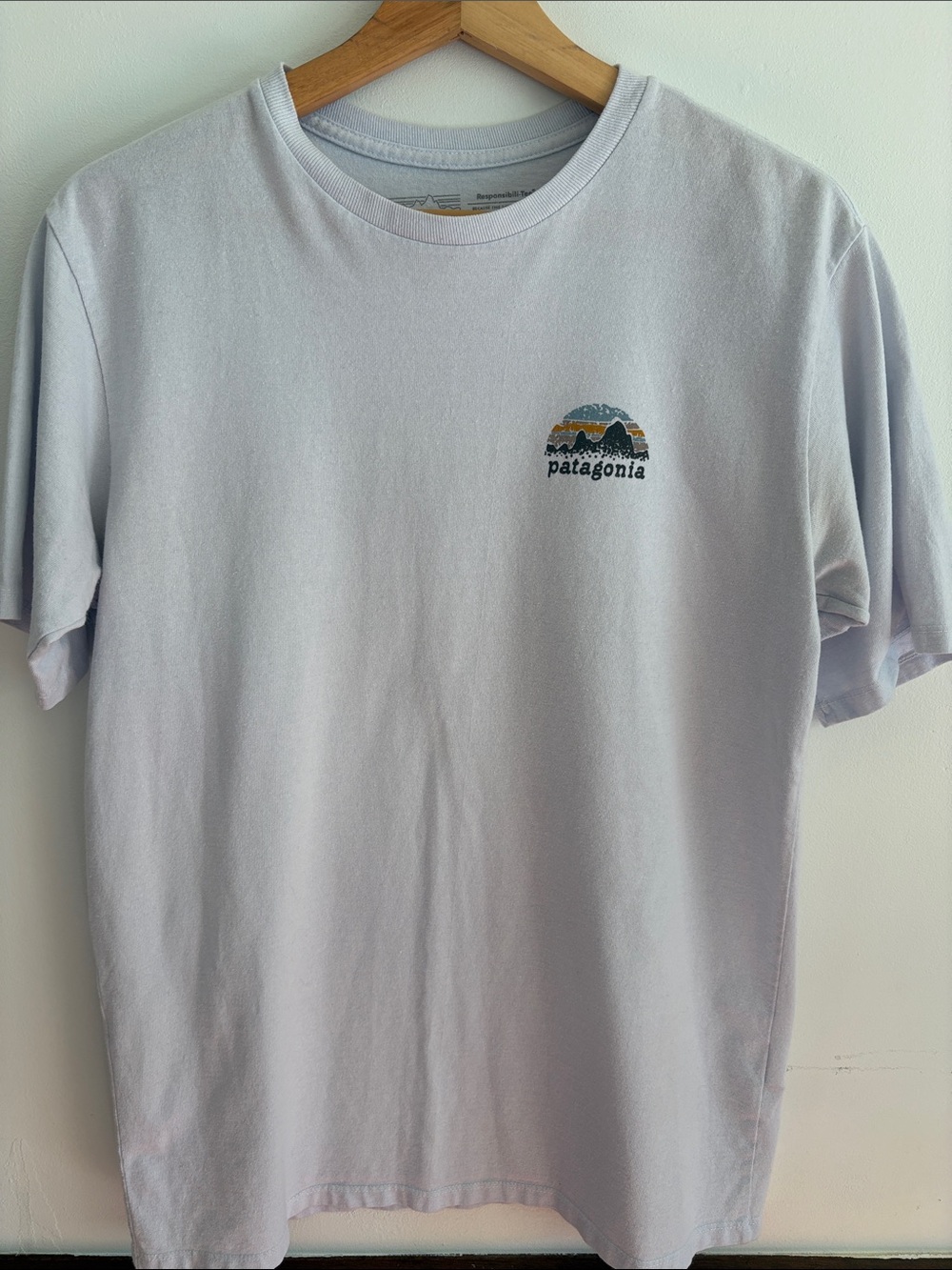 Patagonia Men’s Light Blue Short-Sleeve Logo T-Shirt